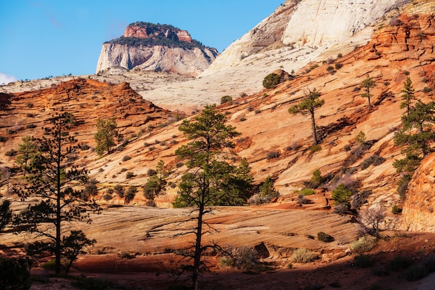 Zion-Nationalpark