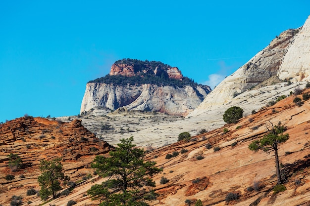 Zion-Nationalpark