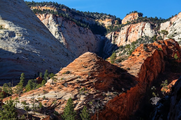 Zion-Nationalpark