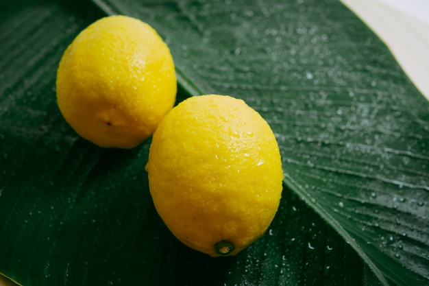 Foto zitrone auf einem bananenblatt mit süßwassertröpfchen