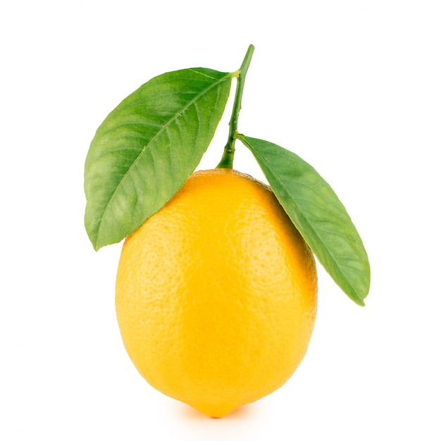 Zitrone mit Blättern auf einem weißen Hintergrund