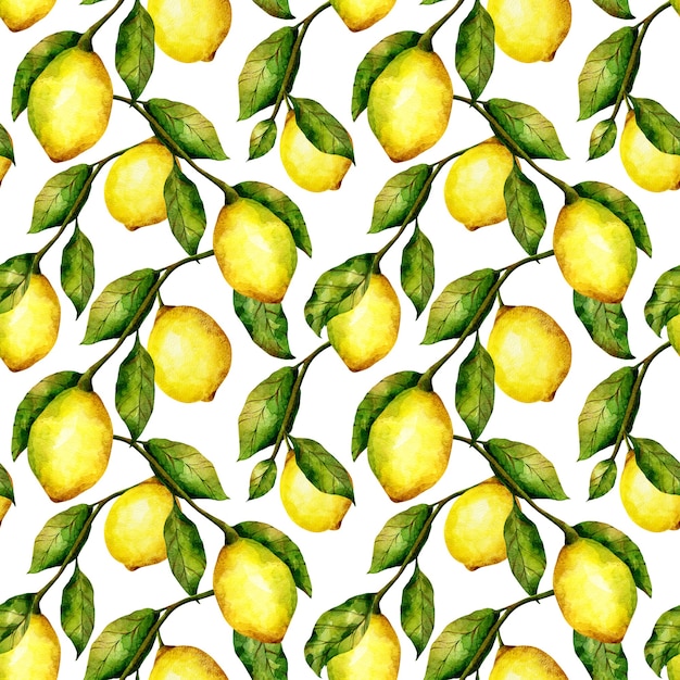 Zitrone nahtloses Muster Aquarell Zitrusfruchtbaum Wiederholungsdruck Helle Zitronen und Blätter auf Weiß