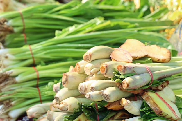 Zitronengras und Galangal am Markt