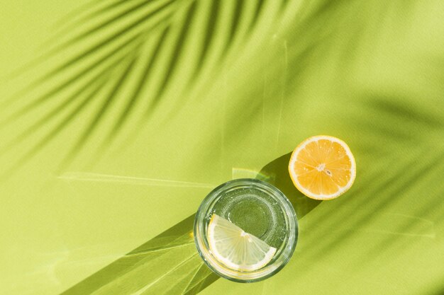 Zitronenwasser und Palmenschatten auf grünem Hintergrund mit Schatten