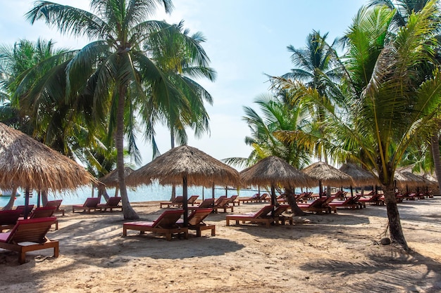 Zona de descanso con hamacas y sombrillas cerca de la playa de la isla