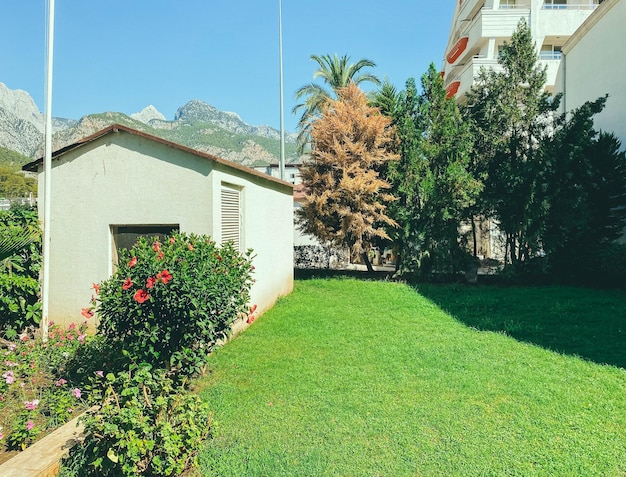 Zona hotelera en un país tropical cálido árboles y arbustos exóticos cerca de la casa para los trabajadores