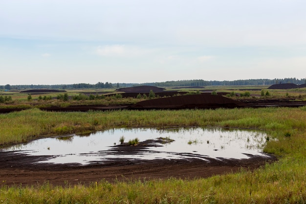 La zona inundada donde se extrae la turba