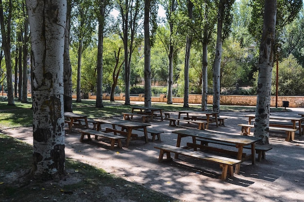 Zona de picnic vacía entre árboles en el paseo del río