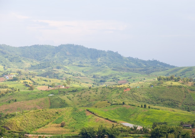 Zonas agrícolas en las montañas