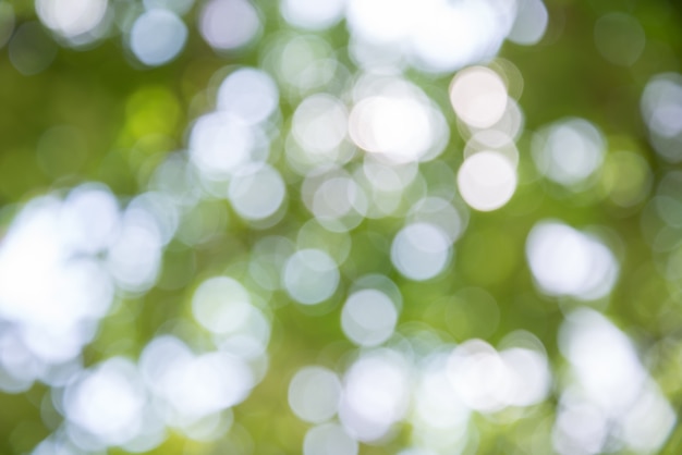 Zoom de disparo fuera del árbol de enfoque