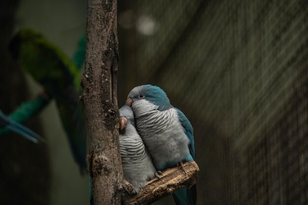 Foto zoos für tiere