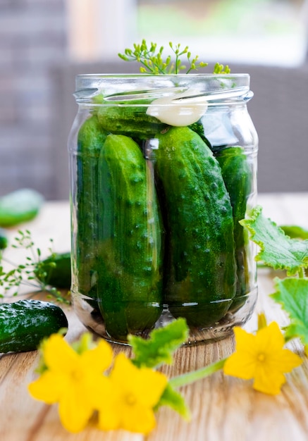 Zubereitung von salzigen eingelegten Gurken mit Kräutern Knoblauch Natürliche Probiotika fermentiertes Gemüse