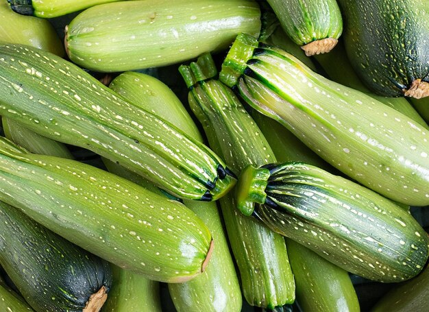 Zucchini-Draufsicht