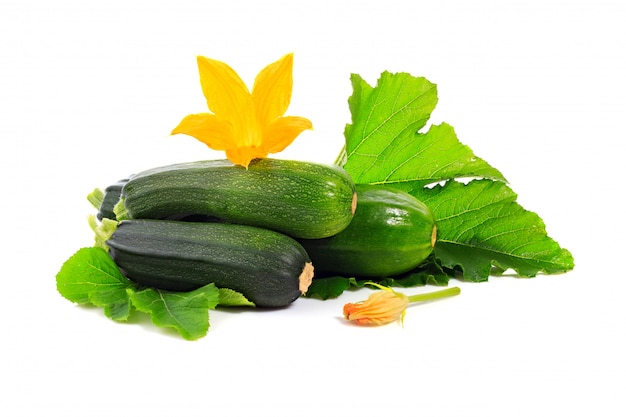 Zucchini oder grüner Markkürbis mit den Grünblättern und -blumen lokalisiert auf Weiß