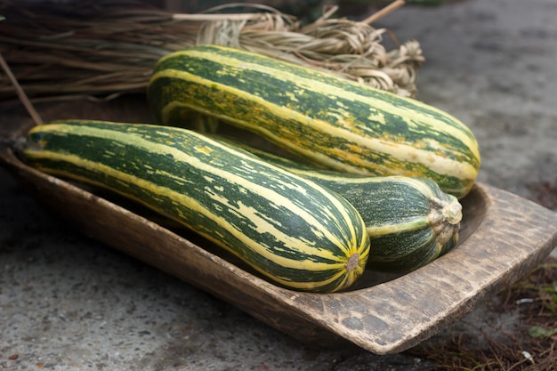 Zucchini oder Zucchini und ein Bündel Stroh in einem hölzernen Trog an einer landwirtschaftlichen Messe.