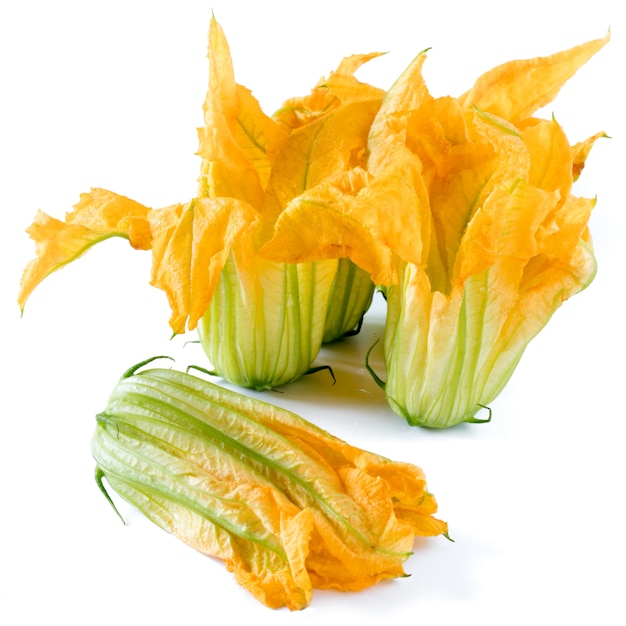 Zucchiniblumen