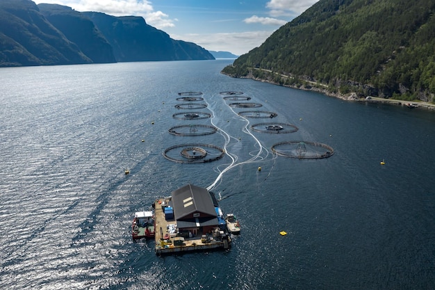 Zuchtlachsfischen in Norwegen Norwegen ist mit mehr als einer Million produzierten Tonnen pro Jahr der größte Zuchtlachsproduzent der Welt