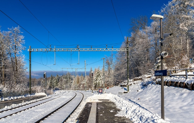 Zürcher S-Bahn am Uetliberg