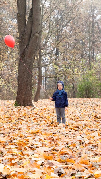 Zufriedener Junge, der im Morgenherbstpark mit Nebel geht