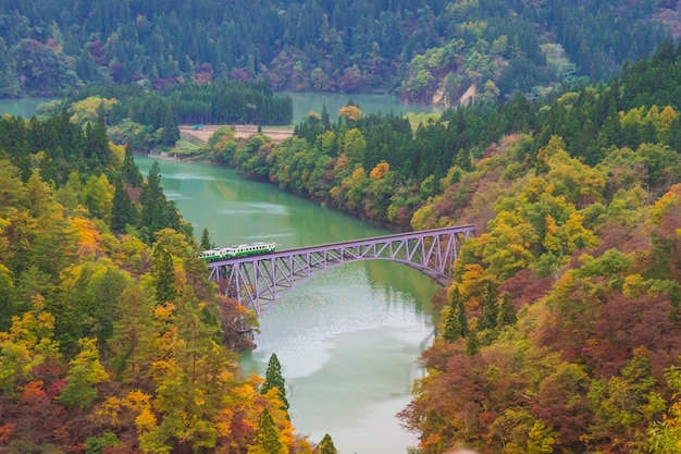 Zug, der die erste Brücke an der Tadami-Linie mit dem umgebenden schönen Herbstlaub in Mishima, Bezirk Onuma, Fukushima, Japan überquert.