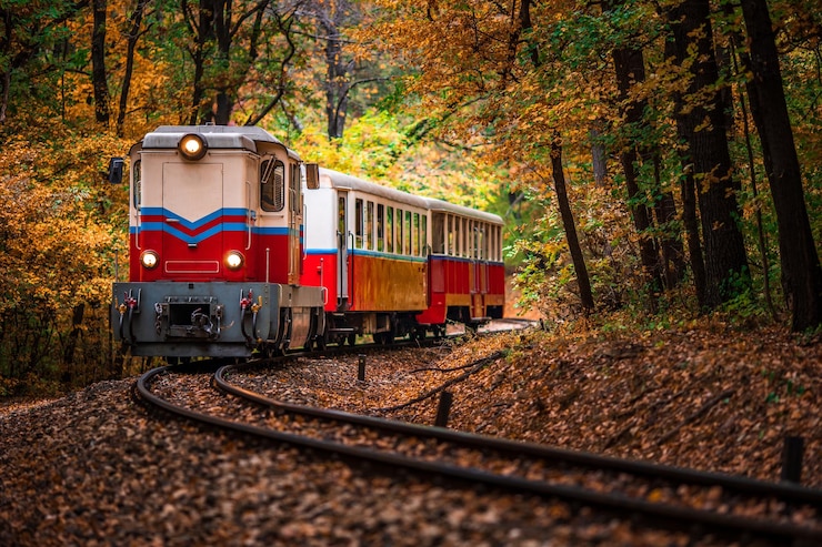 Foto zug im wald im herbst