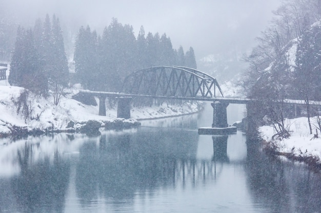 Zug im Winter Landschaftsschnee