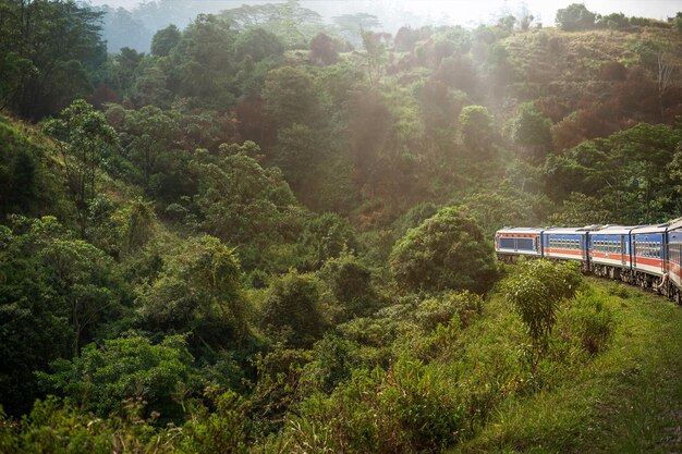 Foto zug von nuwara eliya nach kandy zwischen teeplantagen im hochland von sri lanka