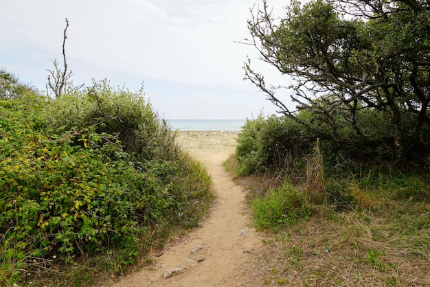 Zugangssandstrand in Jard sur Mer Frankreich