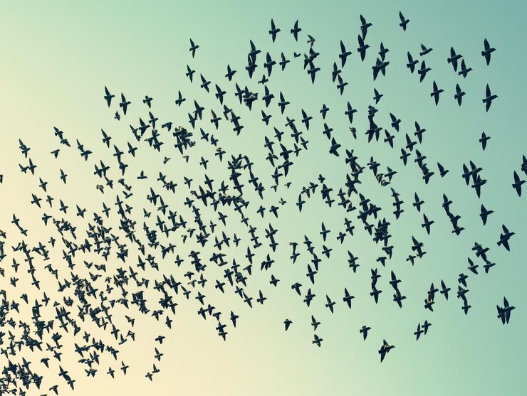 Foto zugvögel bilden v-förmige herden am himmel