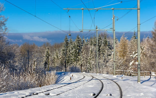 Zurich s-bahn en la montaña uetliberg