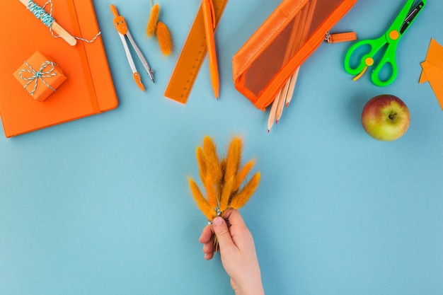 Zurück zum Schulkonzept Kinderhand hält einen Blumenstrauß aus orangefarbenen Blumen Lehrertag hochwertiges Foto