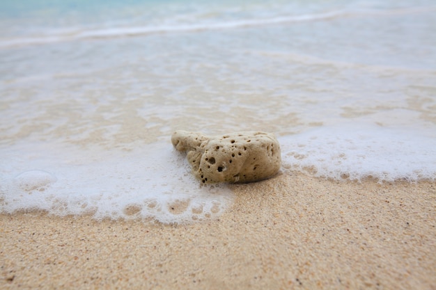 Zusammenfassung Hintergrund der Koralle auf sandigen Strand mit weichen Wellen und Strand Wellen.