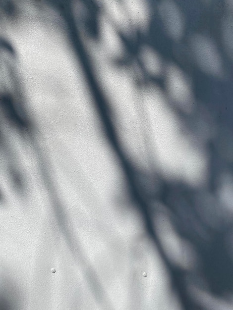 Zusammenfassung lässt Schatten auf Betonmauerhintergrund