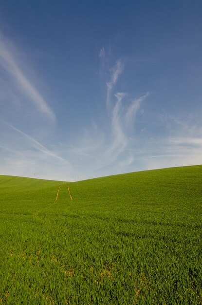 Zusammenfassung natürlichen Hintergrund