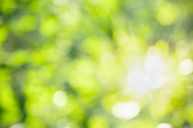 Zusammenfassung unscharf verschwommen und verschwommenes Grün Hintergrund unter Sonnenlicht mit Bokeh und Kopie Raum Hintergrund natürliche Pflanzen Landschaft,