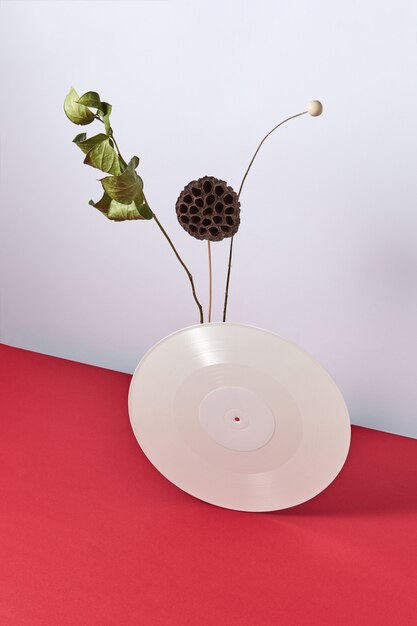 Zusammensetzung aus trockenen Knospen, Zweigen und weißen Schallplatten