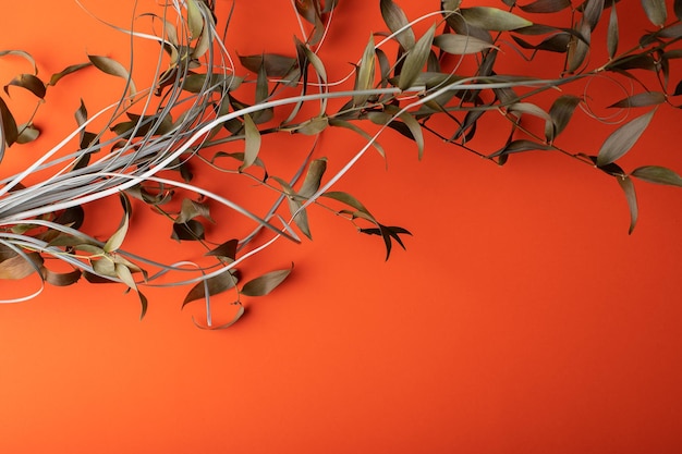 Zusammensetzung aus trockenen Zweigen und Blättern auf orangefarbenem Hintergrund mit Kopie spacexA