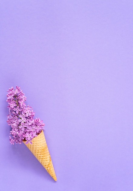 Zusammensetzung der Eistüte mit purpurroten lila Blumen auf einem violetten Hintergrund. Flache Lage. Ansicht von oben. Kreatives Sommerkonzept