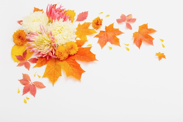 Zusammensetzung der Herbstblätter und -blumen auf weißem Hintergrund