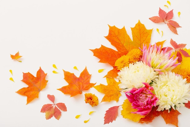 Zusammensetzung der Herbstblätter und -blumen auf weißem Hintergrund