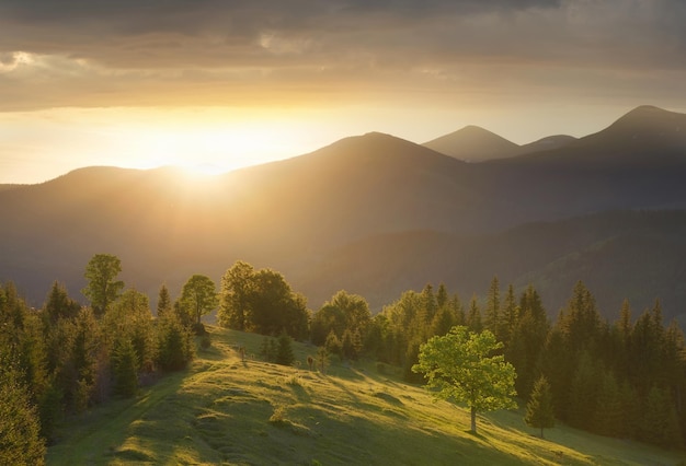 Zusammensetzung der Natur