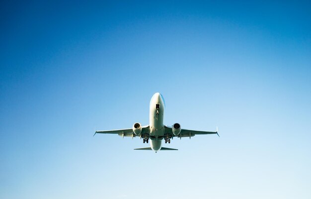 Zusammensetzung des abhebenden Passagierflugzeugs