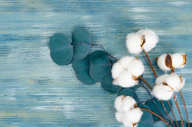 Foto zusammensetzung mit baumwollblumen