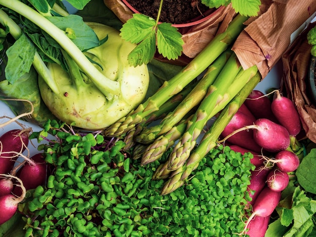 Zusammensetzung mit einer Vielzahl von rohem Bio-Gemüse Ausgewogene Ernährung