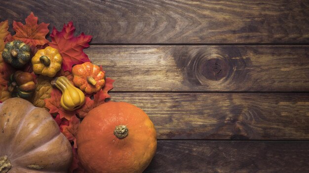 Zusammensetzung reife Kürbisse Herbstblätter Hohe Qualität und Auflösung schönes Foto-Konzept