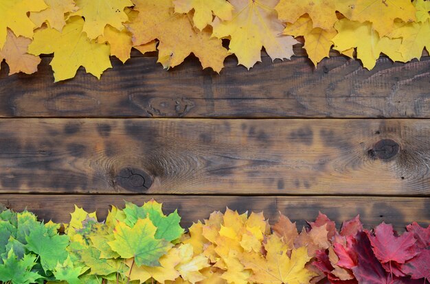 Zusammensetzung vieler vergilbten gefallenen Herbstlaubs auf einer Hintergrundoberfläche von natürlichen hölzernen Brettern der dunkelbraunen Farbe