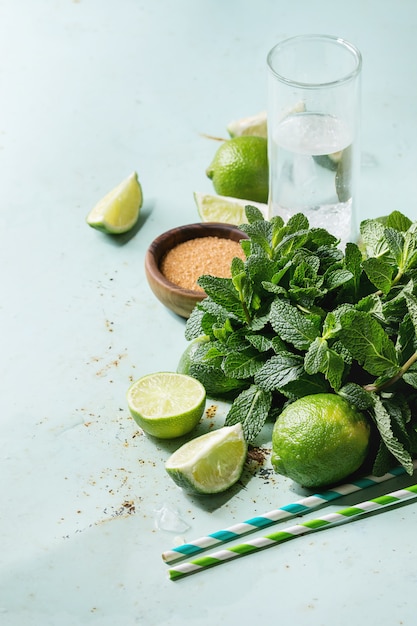 Zutaten für Mojito