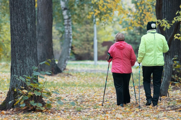 Zwei ältere Frauen sind an einem skandinavischen Spaziergang in der Parkrückansicht beteiligt