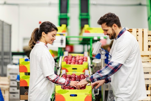 Zwei Arbeiter messen und wählen Äpfel auf einer Waage in der Fabrik aus