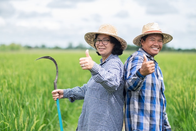 Zwei asiatische Bäuerinnen standen mit freudigen Daumen auf dem grünen Reisfeld